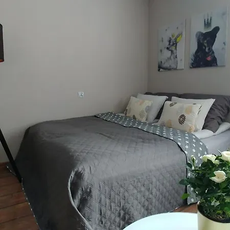 Nova Na Krakowskiej No 1