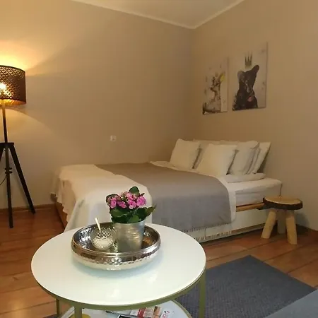 Nova Na Krakowskiej No 1 Apartament *