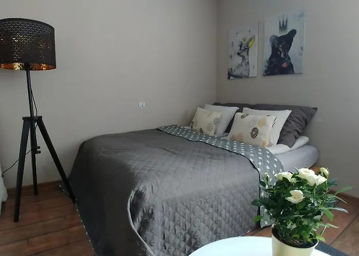 Nova Na Krakowskiej No 1